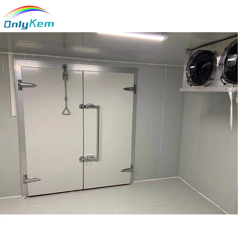 Chiller Room Door/ Cold Storage Replaced Door/ Cold Room Hinged Door