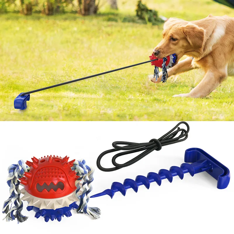 what is the best color for a dog toy