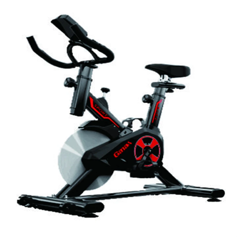 Ganas New Arrival Belt-Driven Gym Lightweight Exercise Spin Bike
