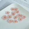 Petalo di ortensia rosa