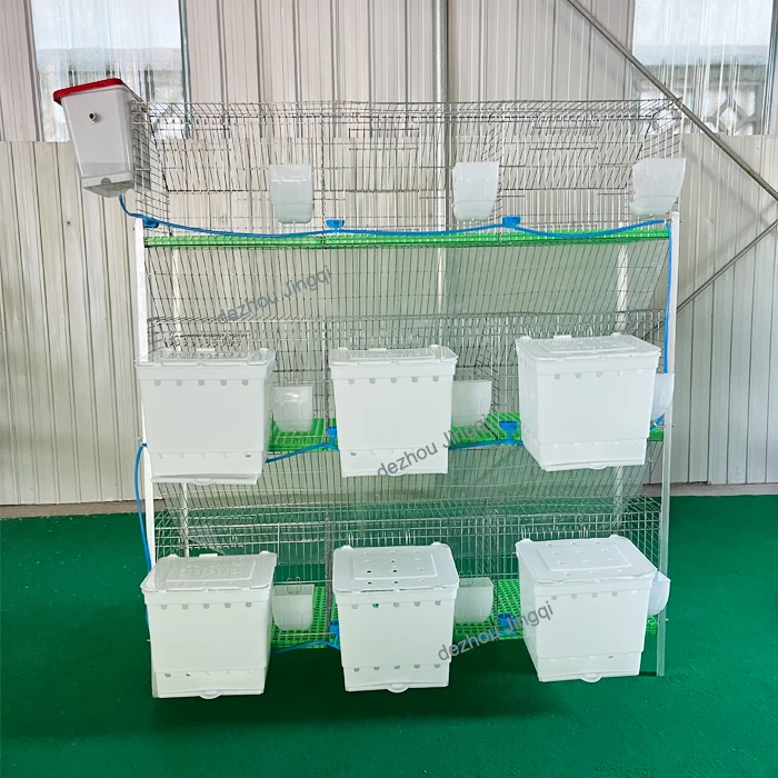 Rabbit Farming Efficient Breeding with 24 Door Cages