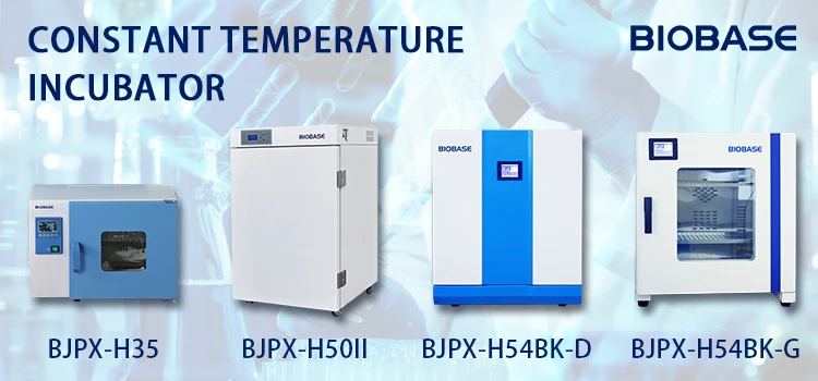 Biobase Touch Screen Constant-temperature Incubator Cost-effective 