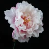 as picture