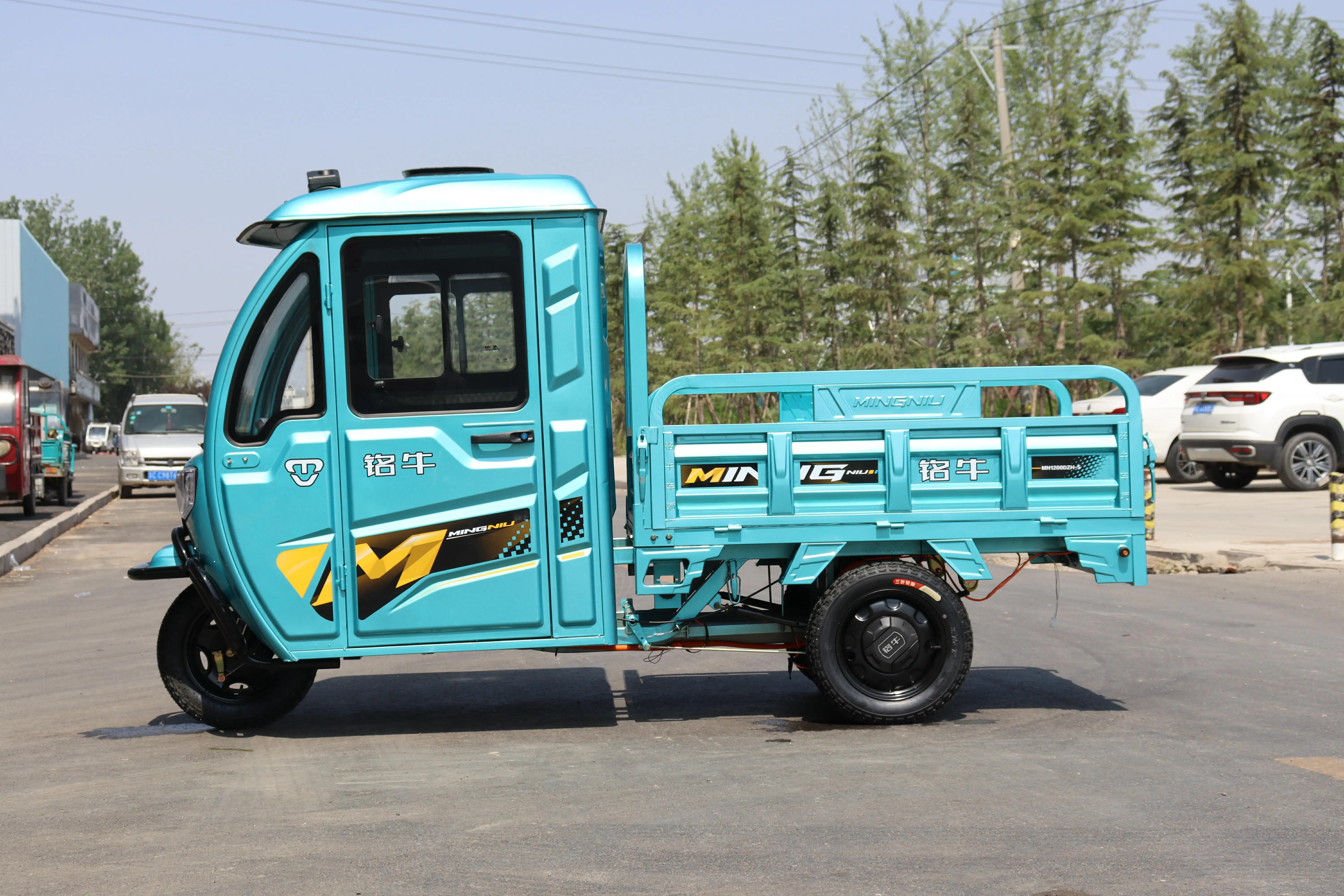 China Factory Heavy Duty 3 Wheel Electric Cargo Tricycle For Nigeria