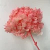 Pesca rosa scuro