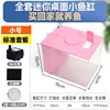 Pink desktop fish tank, size S