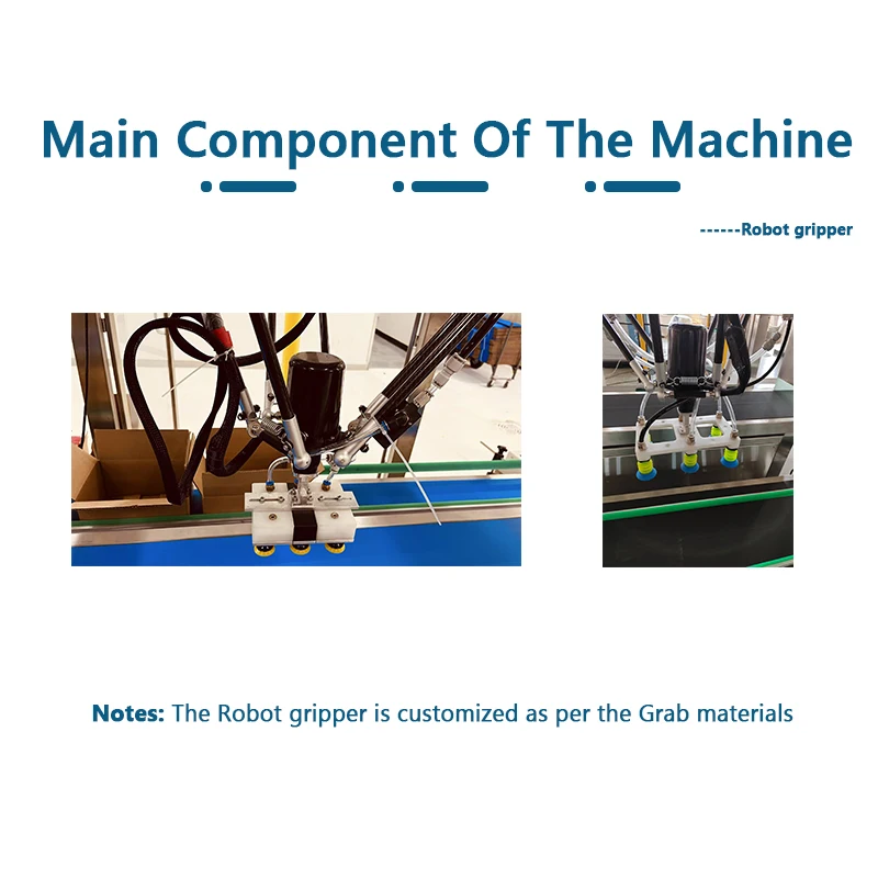 Automatic Flexible Delta Robot Carton Packer Competitive Price for Spider Hand Carton Packing Machine