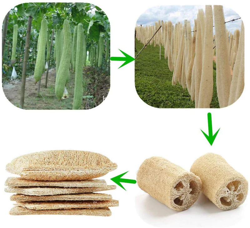 Изготовленным на заказ логосом биоразлагаемые Loofa Luffa для мытья посуды Кухня блюдо из люфы губка для очистки колодки