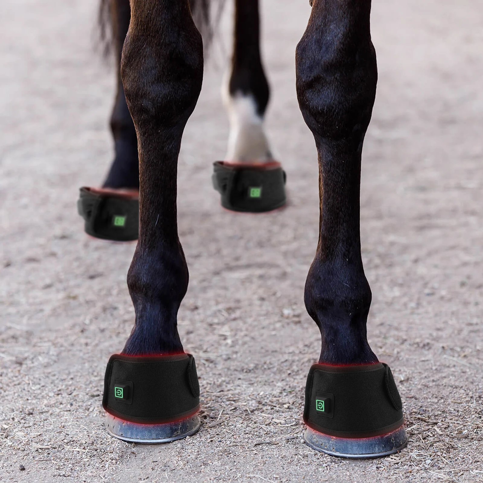 Built In Battery Equine Hood Wrap Led Light Therapy Boots Infrared