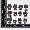 Viola uva 12 pezzi/confezione