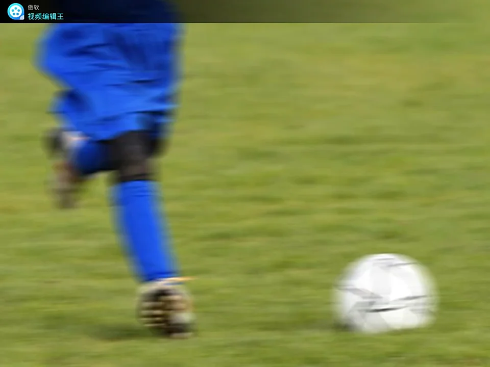 Highend Icebath Spa Pool Ice Cold Water Plunge Tub Bath Sports