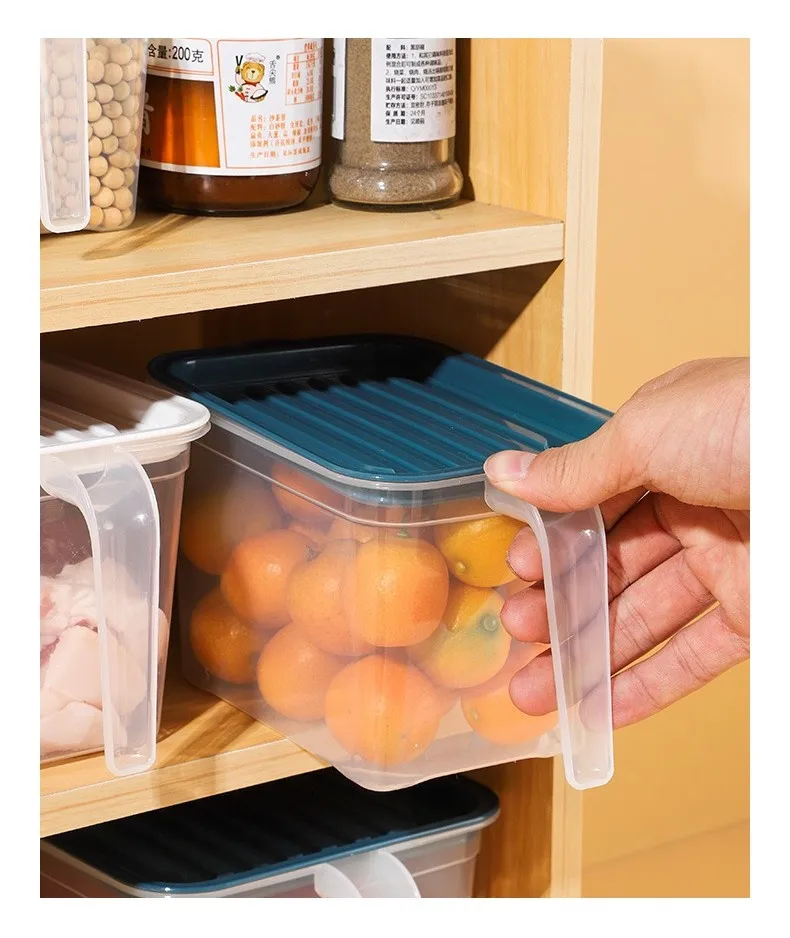 Transparent plastic refrigerator handle storage box PET transparent storage belt kitchen frozen food preservation box details