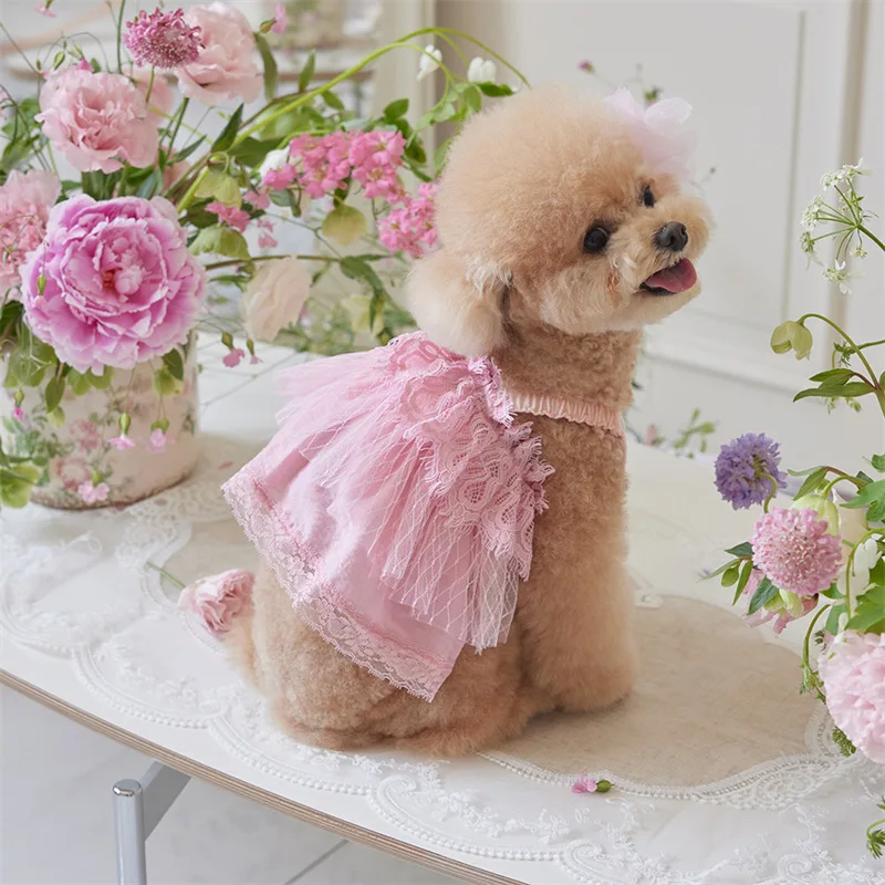 Pet Pink Princess Dress Dog Lace Dress Cat Pretty Spring Clothes