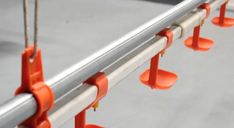 Poultry Farm Equipment Automatic Chicken Feeding Feeder and Drinker Feeding System Line