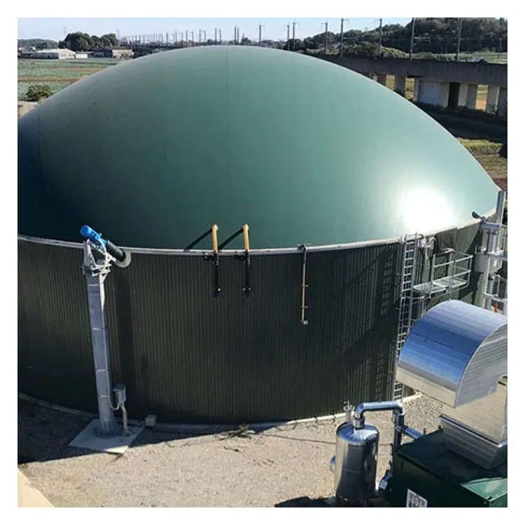 Biodigester System Floating Biogas Plant Project Reactor