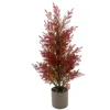 Mini cyprès rouge avec pot en plastique
