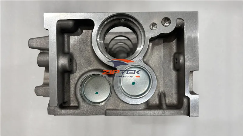9654841380 1.4L TU3JP Cylinder Head for Peugeot 106 205 206