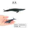 2001 ballena azul