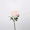 Pivoine moyenne-rose clair