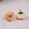 Une fleur rose pêche