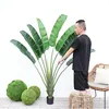 Plante en pot Oiseau de Paradis Overlord de 170 cm