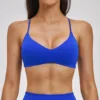 Blue-Bra