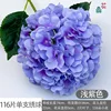 116 กลีบต่อหนึ่งก้าน สีม่วงอ่อน