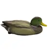 Green Head & Yellow Beak