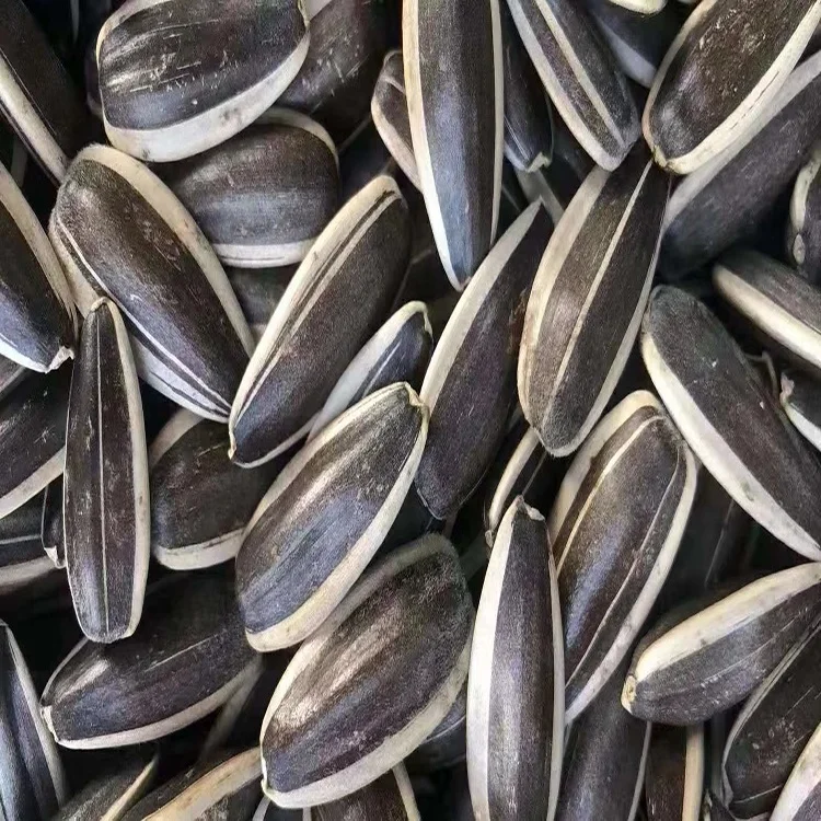 Wholesale Sunflower Seeds - Best Quality & Long Shelf Life