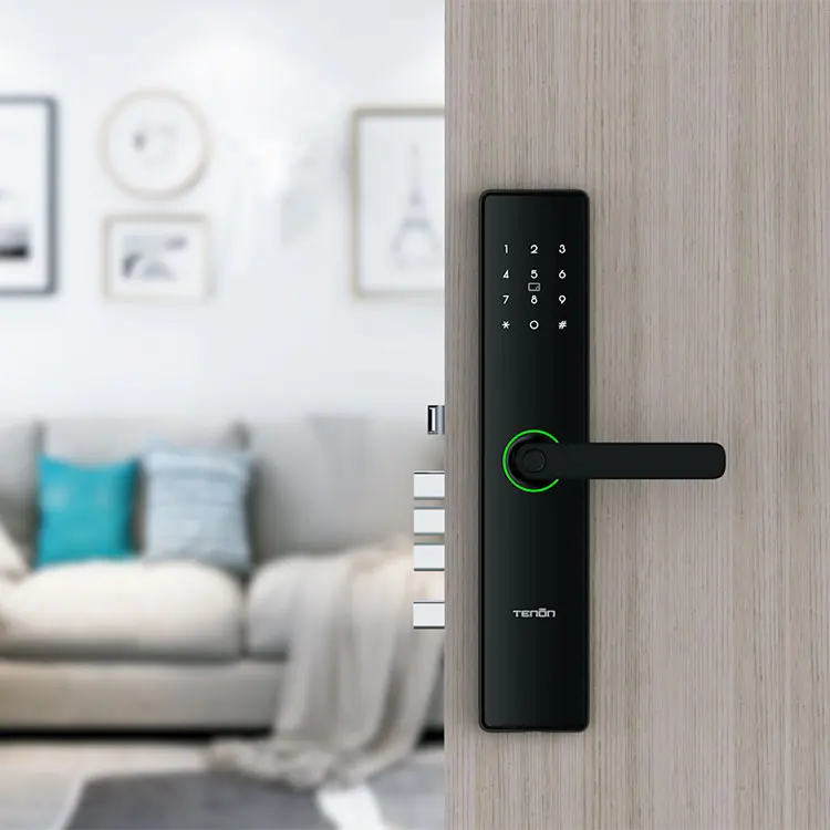 Tenon E15 Outdoor Keyless Smartlock with WiFi Intelligent Digital Keypad Password & Fingerprint Key & Door Handle Lock