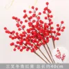 Three-forked holly red fruit branch