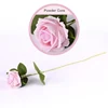 Rosa2