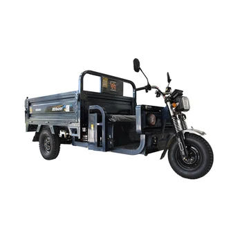 Low Cost 1200w 1500w 3 wheel cargo electric tricycle Flat lift transport vehicle cargo dumper electric tricycle