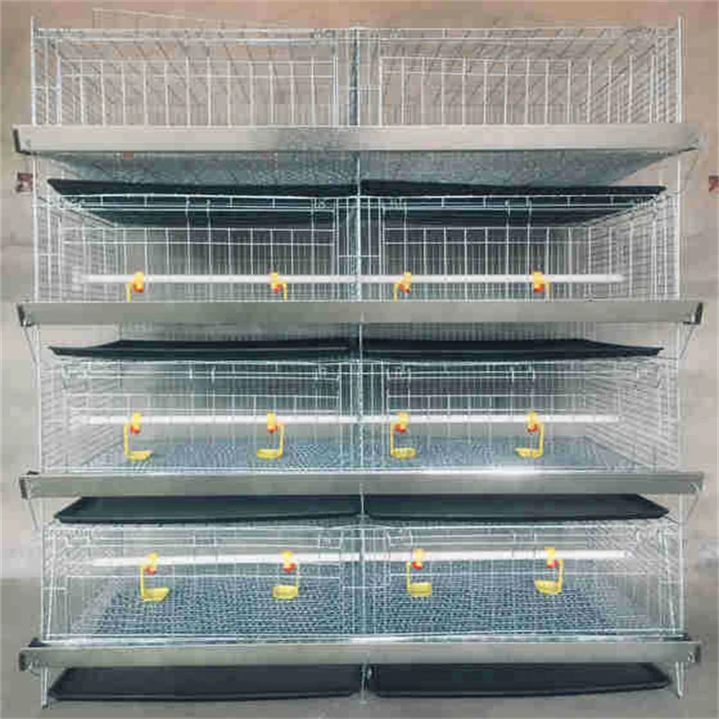 H Type Chicken Brooder Layer Cage Broiler 4 Layers Poultry Cages Day