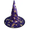 Purple Gold Foil Composite Witch Hat
