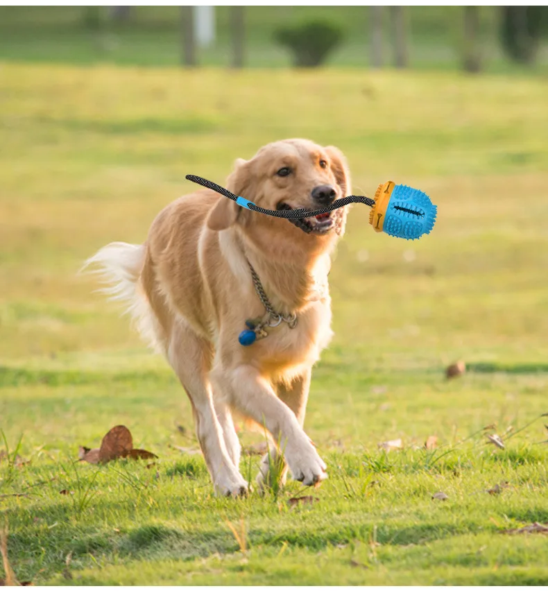 Suction Cup Dog Toy For Aggressive Chewers Pet Molar Bite Toy Dog Chew Rope Ball Pull Toy Fits