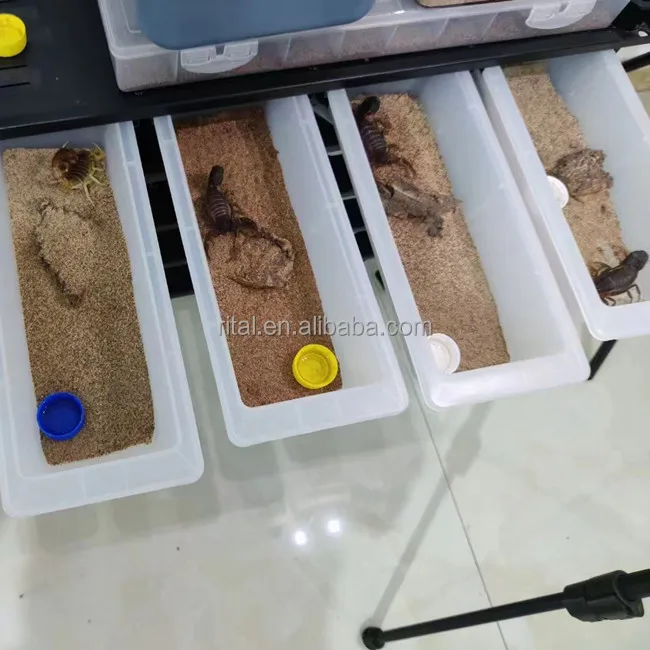 Hot Sales Metal Snake Breeding Rack System Reptiles Rack With Cages