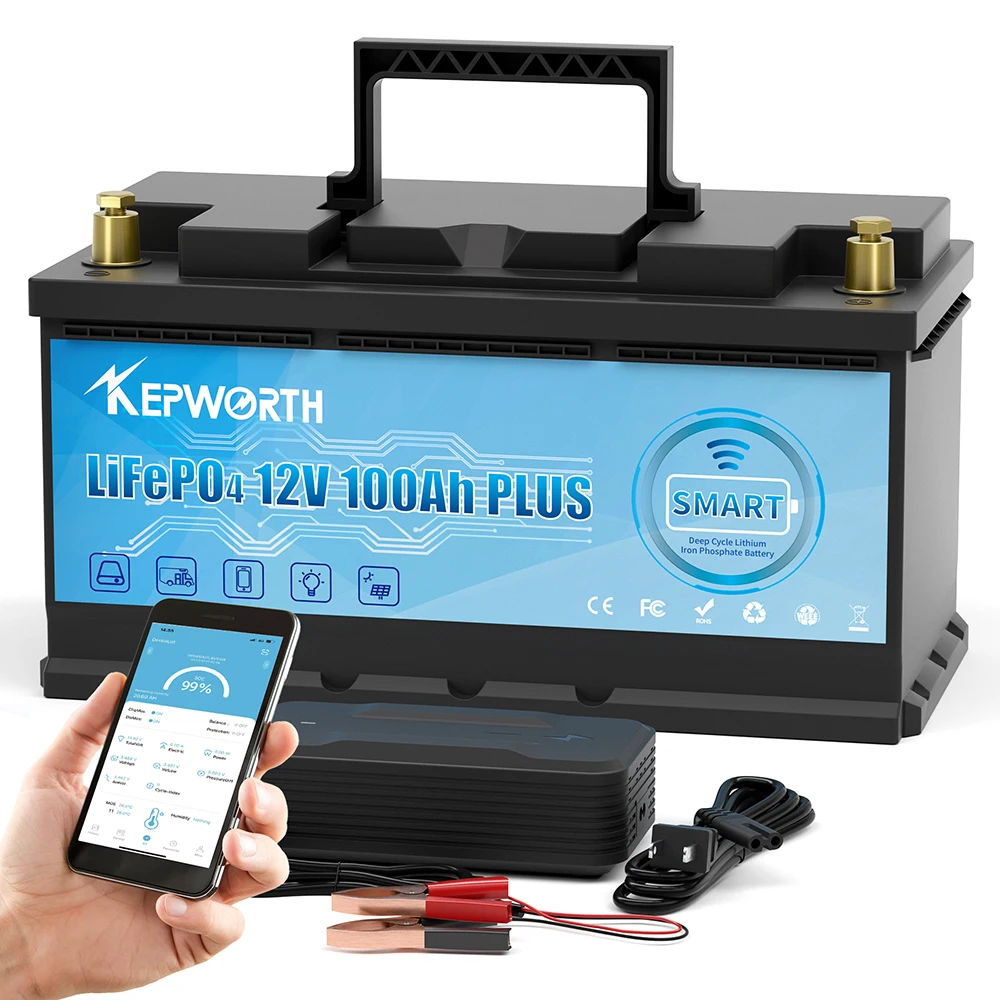 EU/US 12V Lifepo4 Battery Pack 100Ah-300Ah, Lithium Iron Phosphate