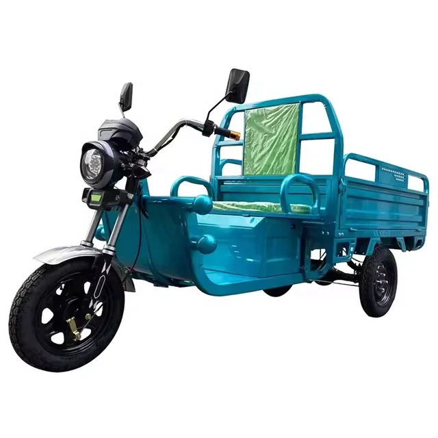 US/EU warehouse Heavy Carry Load 3 Wheels Electric Tricycle Cargo 1000W 60V 35km/h Cargo Motorcycle three wheel electric