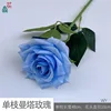 Single Manta Rose WY, Light Blue