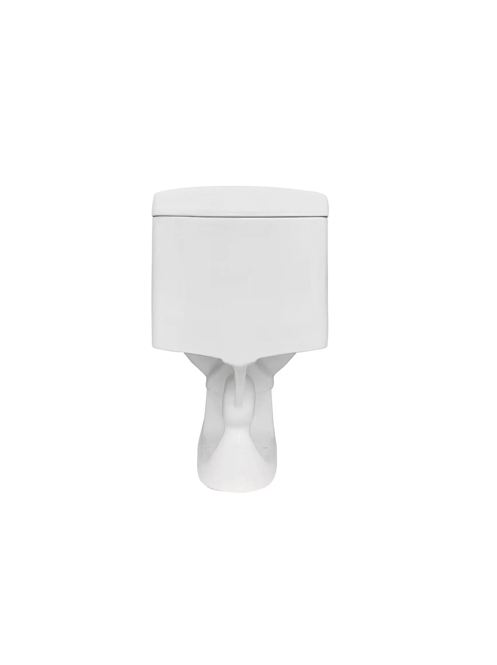 South American Hot Siphon S Trap 300 mm One Piece Toilet Economic Ceramic Toilet Factory Direct Sale Toilet details