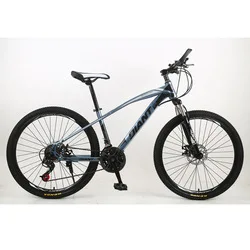 stand up bike