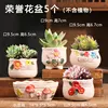 5 honorary flower pots