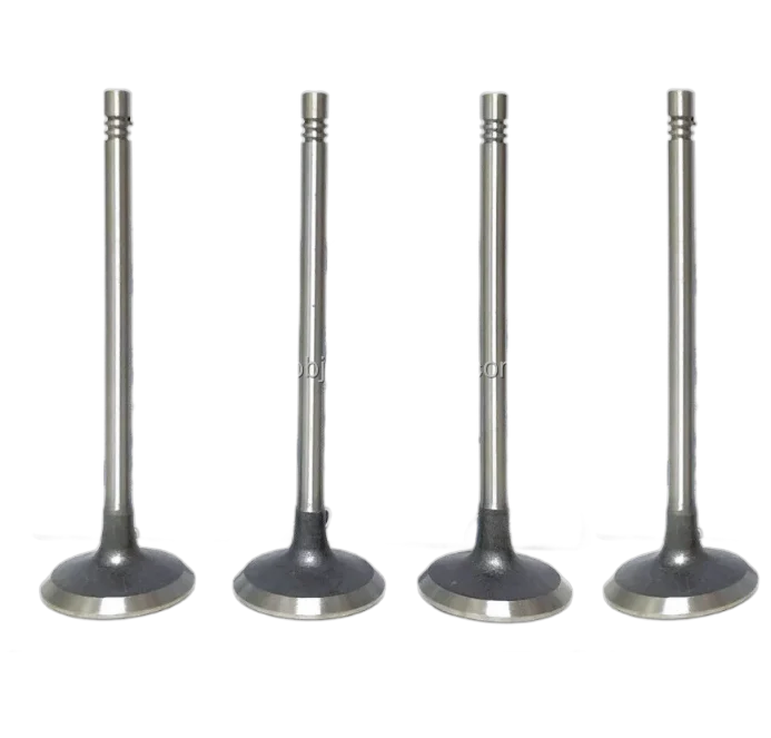 473H-1007011BA For Chevrolet Intake Exhaust Valve VALVULAS DE ADMISION CHERY ARAUCA A1 A3 X1 473H-1007012BA