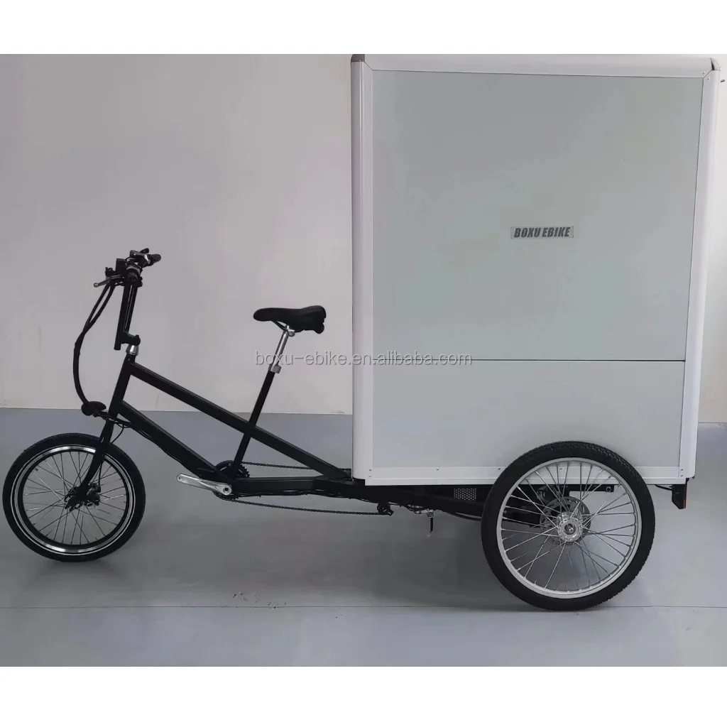 48V 750W Cargo Tricycle with New Cabin aluminum box, New Waterproof Line , 3 wheel electric cargo bike