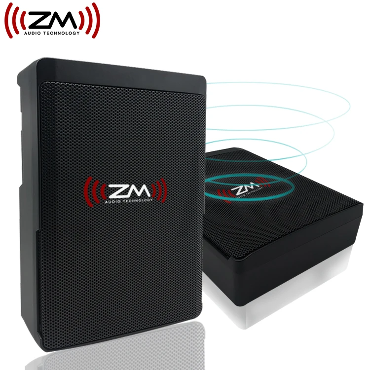 Car Subwoofer Woofer Under Seat Slim 