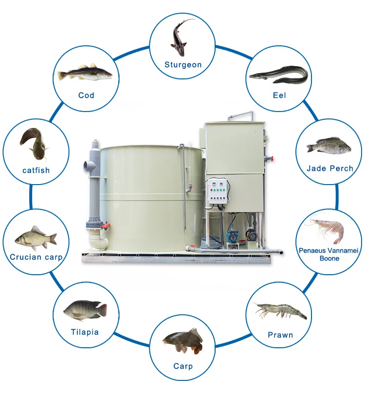 QLOZONE Aquaponics System for Fish and Vegetable Indoor Ras Hydroponic Systems Fishing Farm Aquaculture Equipment All in One