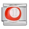 ICJ1624silvery