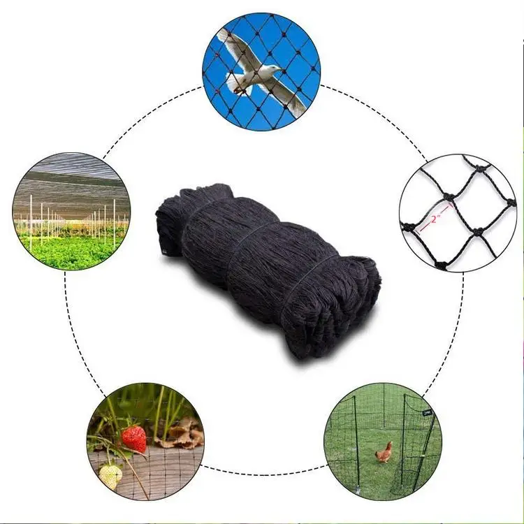 Bird Net Garden Netting Mesh Protect Fruit Tree Plant And Vegetables From Poultry Deer Pests Bird Netting Garden Farm Orchard Buy Anti Bird Catcher Netting Net Bird Preventing Traps Crops Fruit Tree Flower