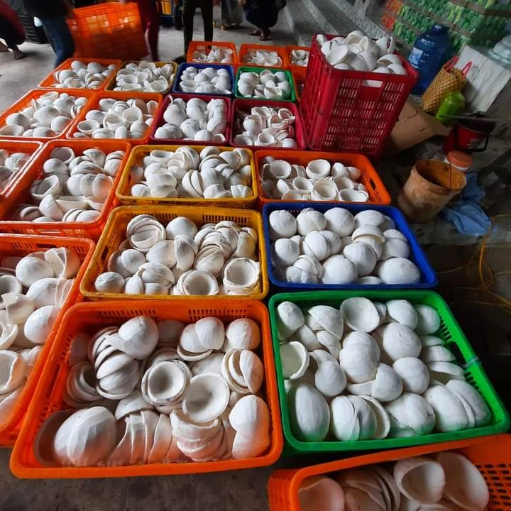 Freeze Dried Coconut Flakes for Wholesale | Bulk B2B Supply Hdce31269d3e3402caeae90c201040ab8x